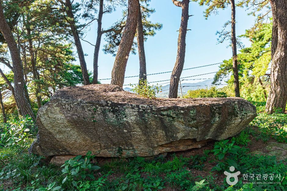 함평용월리지석묘군