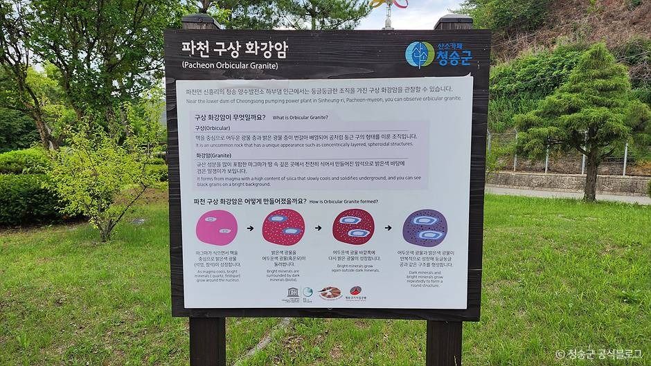 파천 구상 화강암 (청송 국가지질공원)