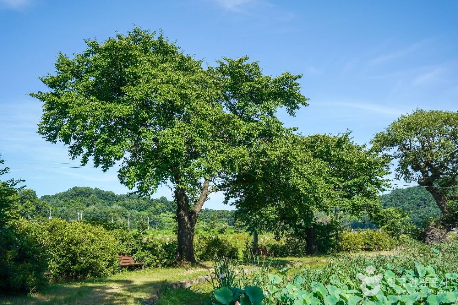 예천권씨 병암정 및 별묘