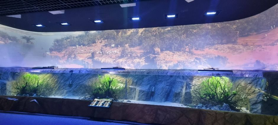 단양 다누리아쿠아리움