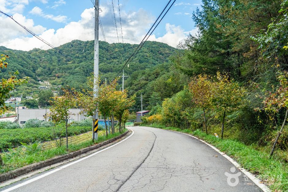 평창_봉황둘레길 (2)