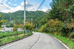 평창_봉황둘레길 (2)