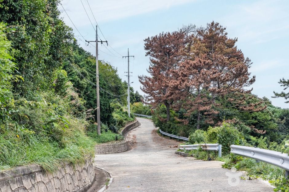 비진도 내항마을