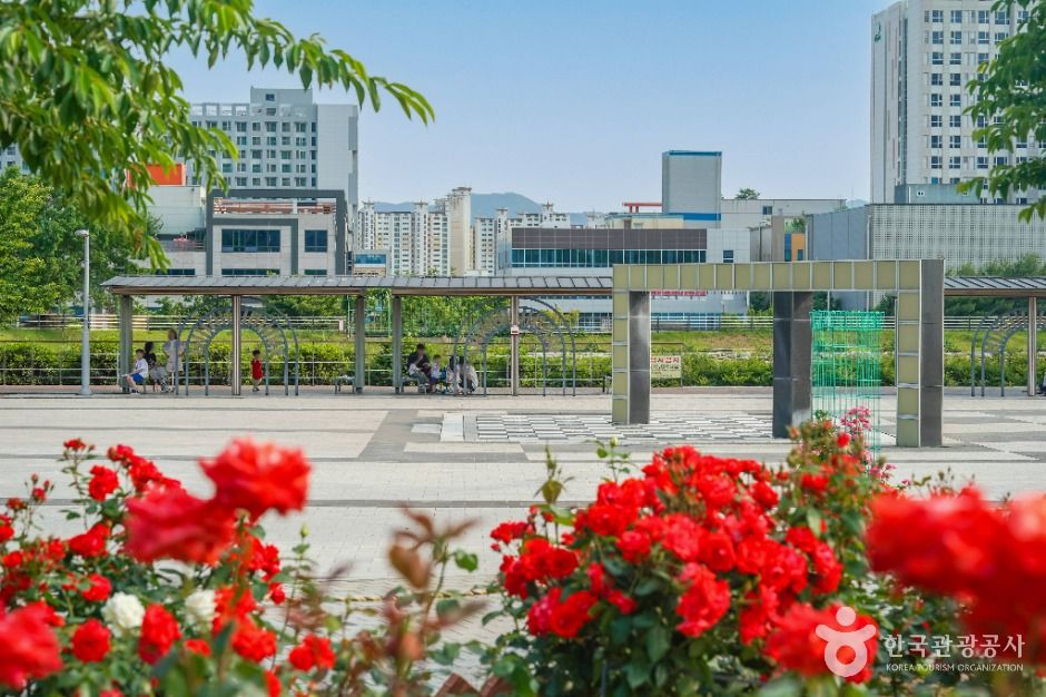 대구_신서 중앙공원 (4)