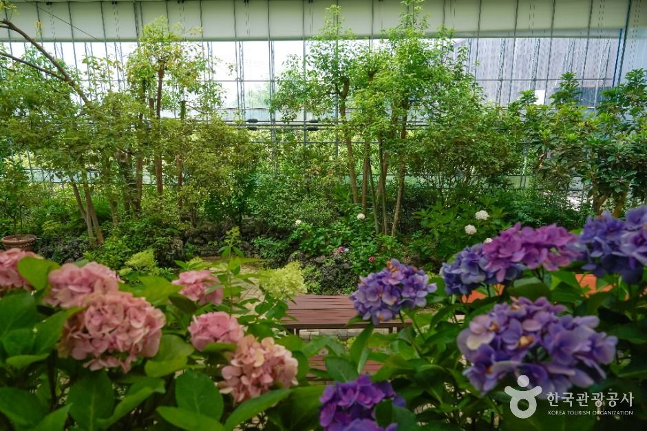 창원_진해보타닉뮤지엄 (6)