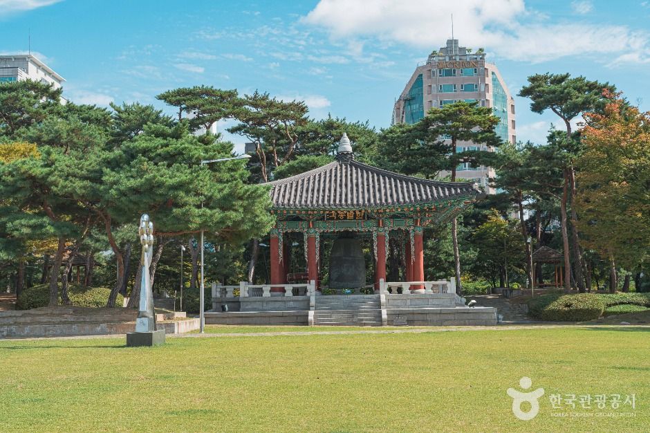 thumbnail-대전광역시청 시민잔디광장-1