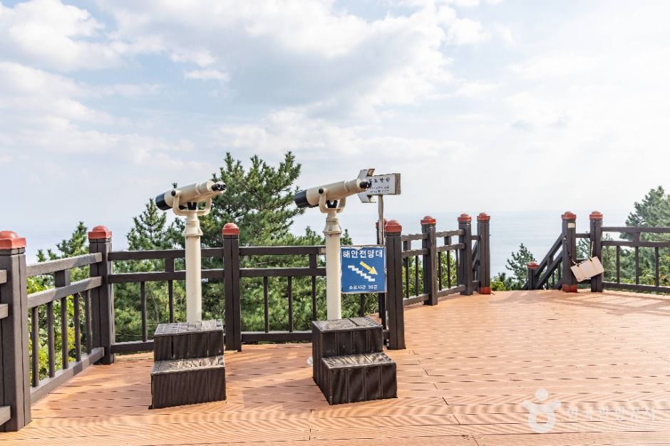 독도전망대 케이블카