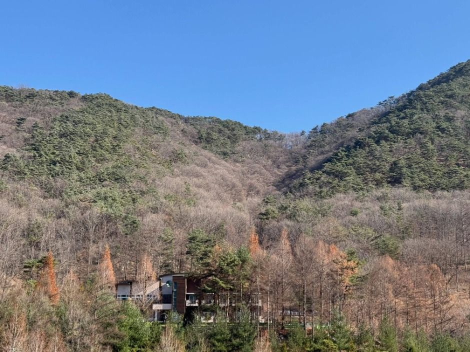 thumbnail-충북알프스자연휴양림-3