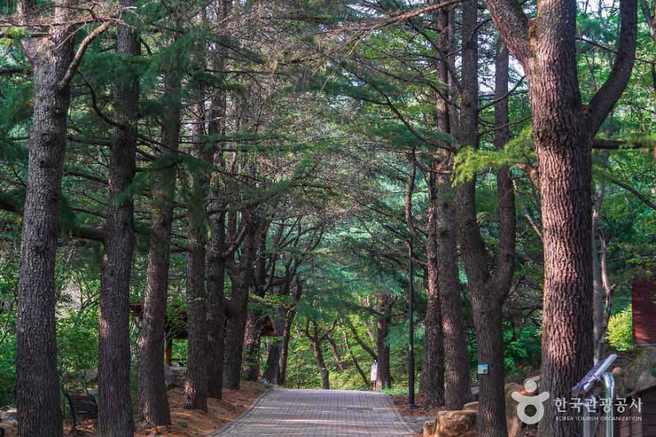 팔공산국립공원(동화사지구)