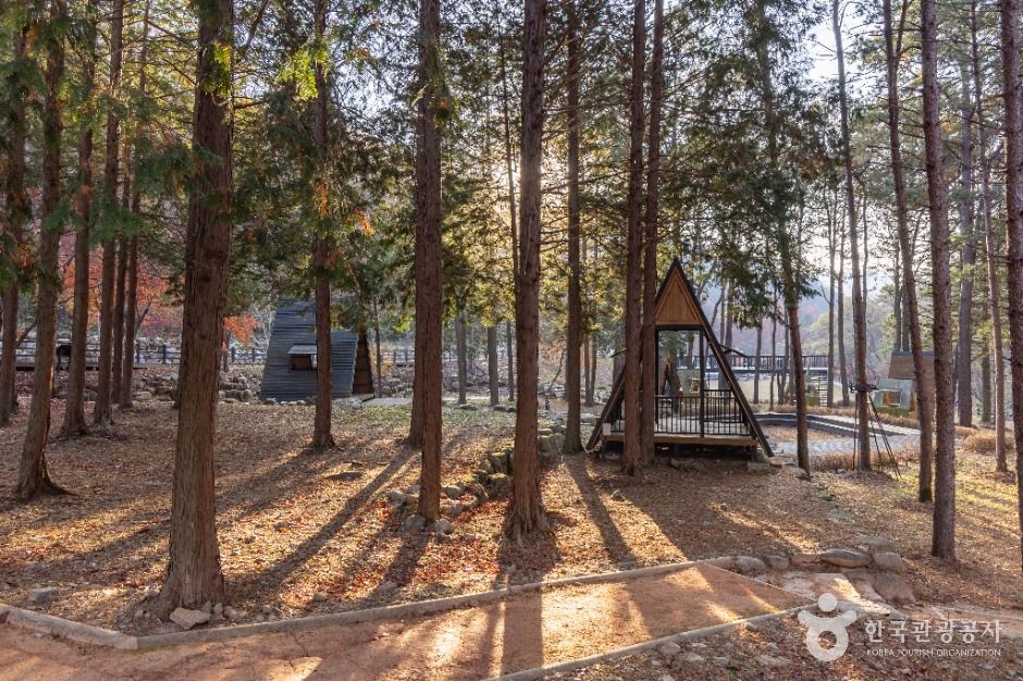 성수산 왕의숲 국민여가캠핑장