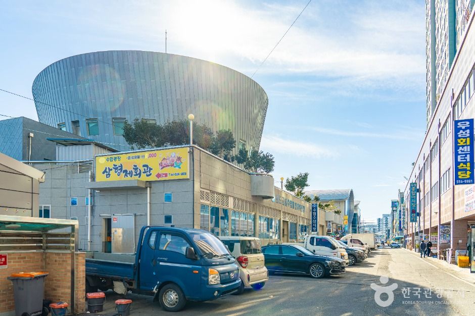 완도_완도 금일 수협활·선어위판장 (1)