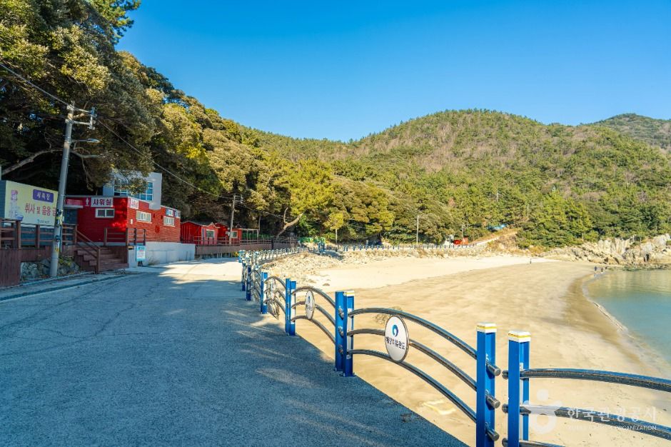 완도_가사동백숲해변 (6)