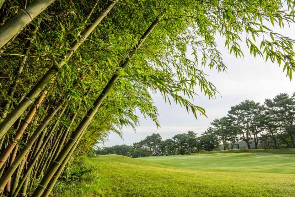 thumbnail-동래베네스트 골프클럽-4