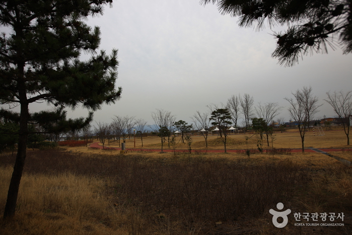 배알도 수변공원3