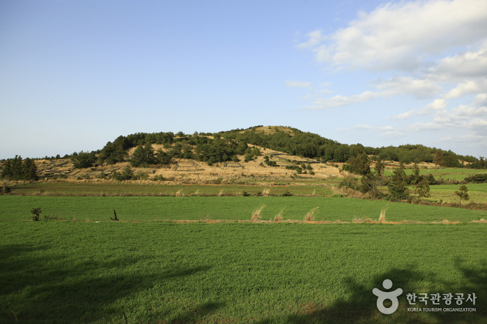 [제주올레 1코스] 시흥-광치기 올레7