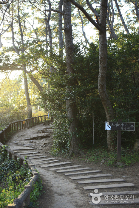 [제주올레 7코스] 서귀포-월평 올레0