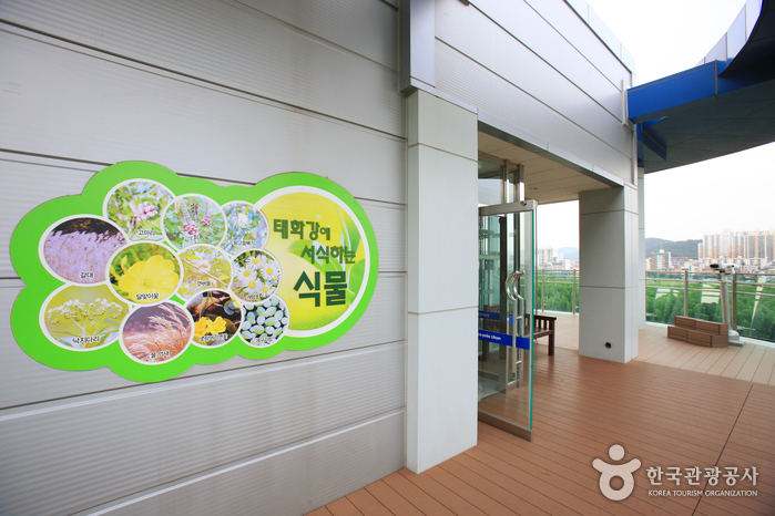 태화강 전망대8