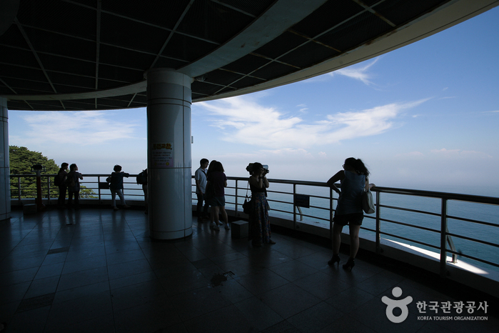 Taejongdae (Parque Nacional Geológico en Busan) (태종대 (부산 국가지질공원))