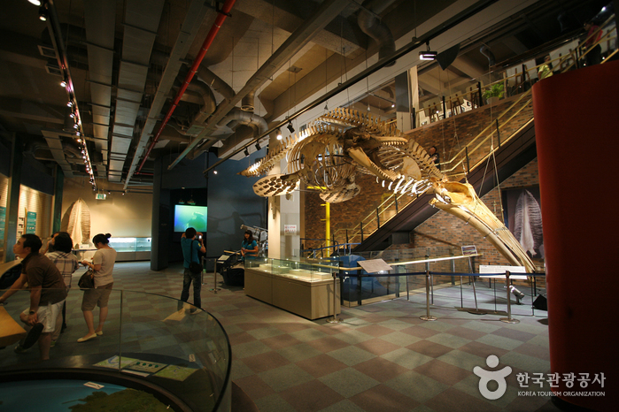 Jangsaengpo Whale Museum (장생포 고래박물관)