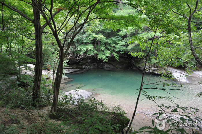 강천산군립공원 사진8