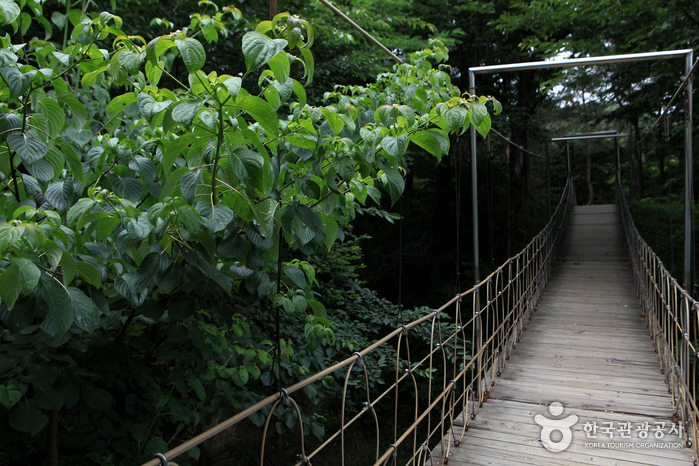 Felswand Nakdonggang Gyeongcheondae (낙동강 경천대(경천대 전망대))