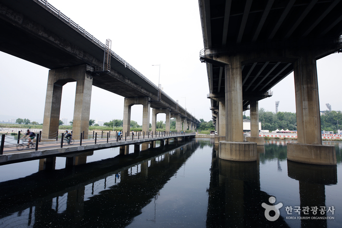 Arroyo Tancheon (탄천)