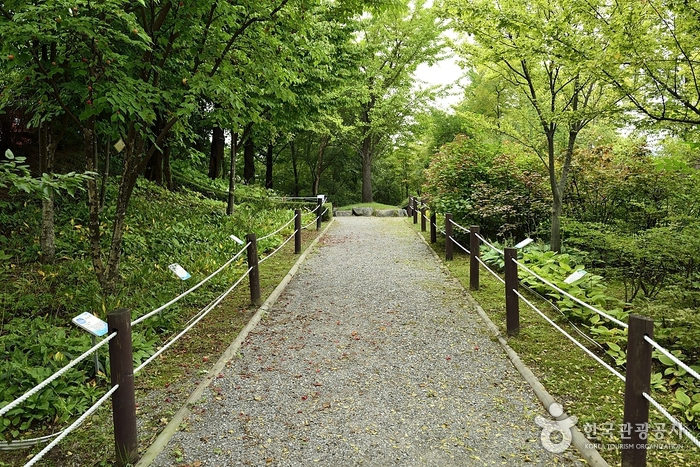 Jardín Botánico de Seongnam (은행자연관찰원(성남시시립식물원))