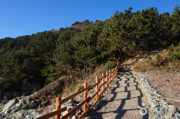 二妓台（釜山国家地質公園）（이기대（부산 국가지질공원））