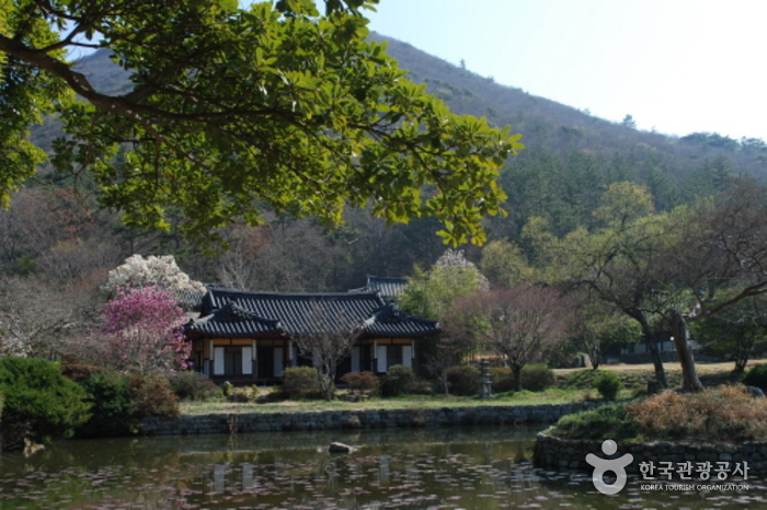 운림산방