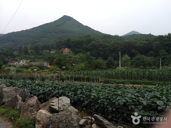 Pico Baegunbong del Monte Yongmunsan (용문산 백운봉)