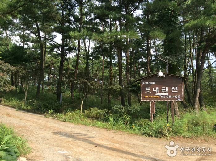 도내솔향기펜션(구 도내펜션)