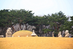 Seolleung and Jeongneung Royal Tombs [UNESCO World Heritage] (서울 선릉(성종과 정현왕후)과 정릉(중종) [유네스코 세계문화유산])