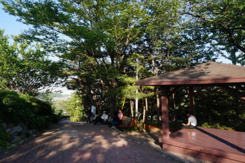 Waryong Park (와룡공원)