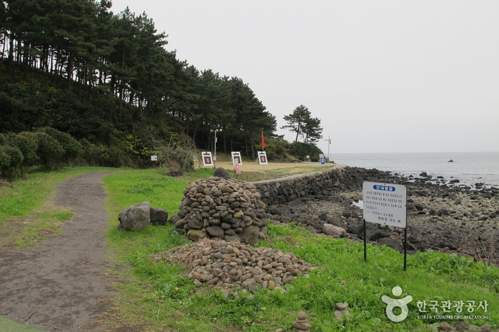 [제주올레 6코스] 쇠소깍-서귀포 올레3