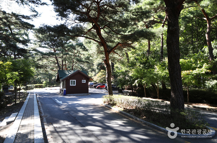 성주산자연휴양림