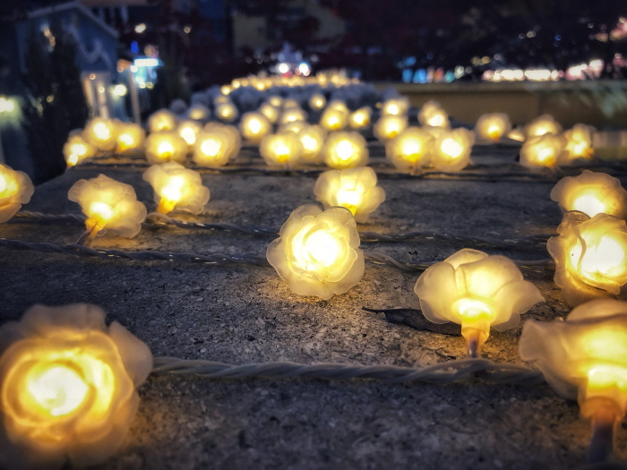 러브인 프로방스 빛축제 2018 사진24