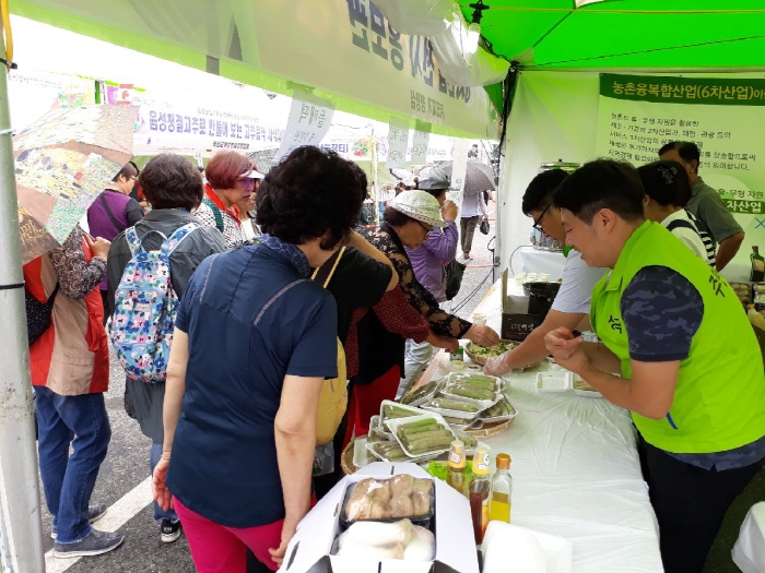 음성 청결고추축제 20190