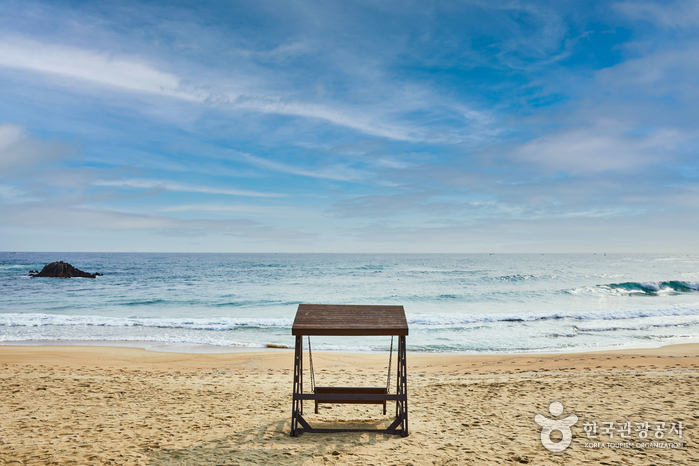 삼양라운드힐 (구, 대관령 삼양목장)9