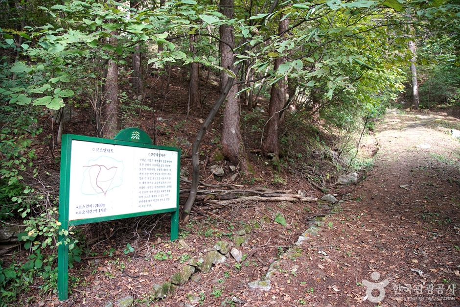 雉岳山自然休養林（치악산자연휴양림）