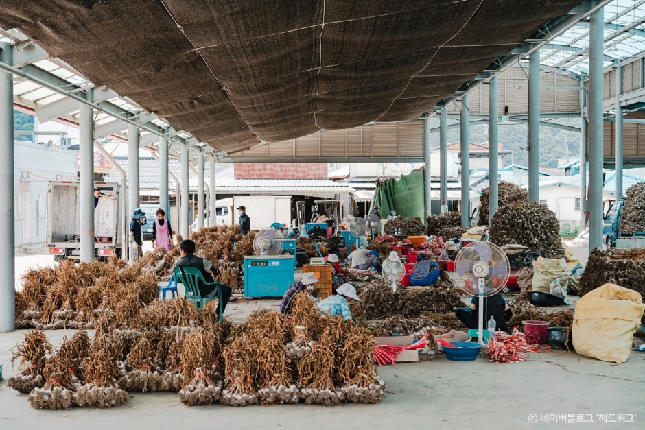 Uiseong Garlic Market (Uiseong Traditional Market) (의성마늘장터 (의성명품마늘영농조합법인))