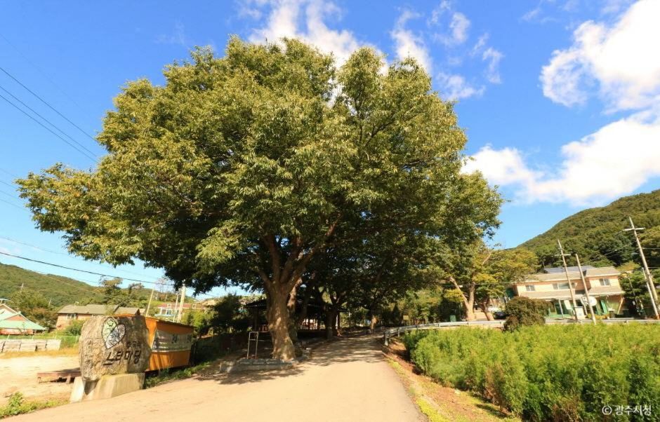 광주 산두른마을 [농촌전통테마]