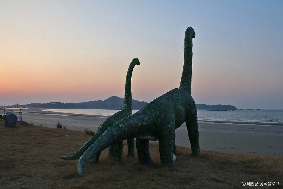 신두리해수욕장