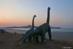 태안_신두리해수욕장 (2)