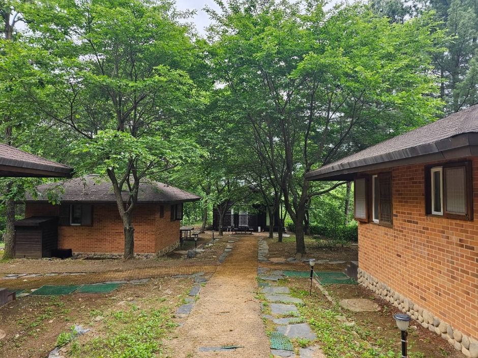 thumbnail-천보산 자연휴양림-19