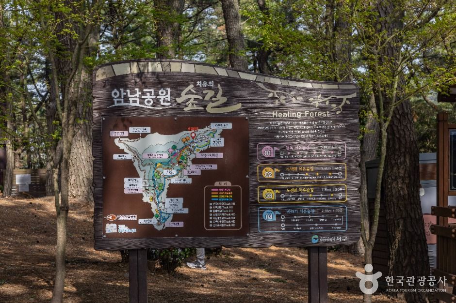 부산 암남공원