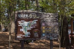 부산_부산 암남공원 (12)