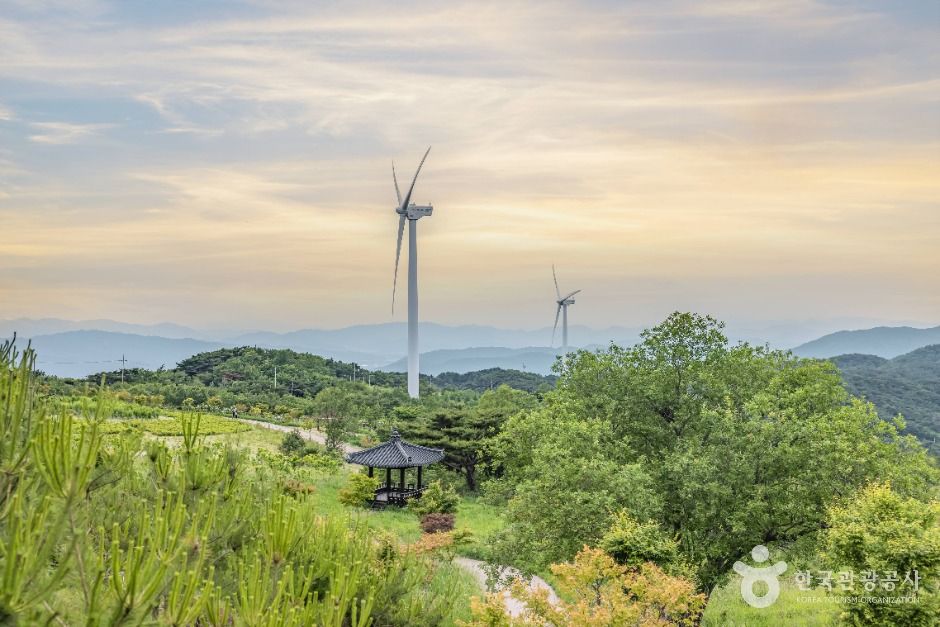 경주_경주 풍력발전(바람의언덕) (12)