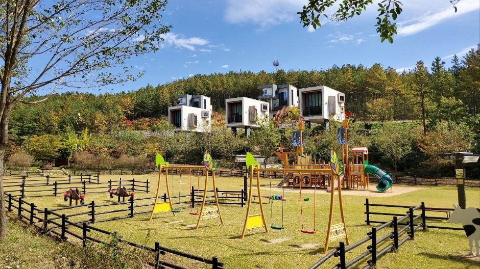 운주산승마자연휴양림