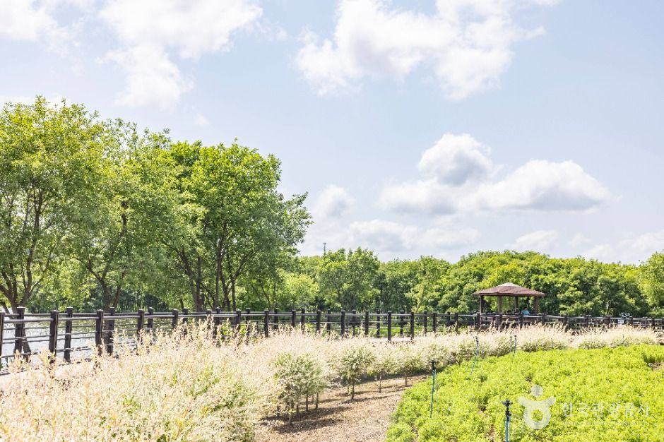 thumbnail-五松湖公園(오송호수공원)-16