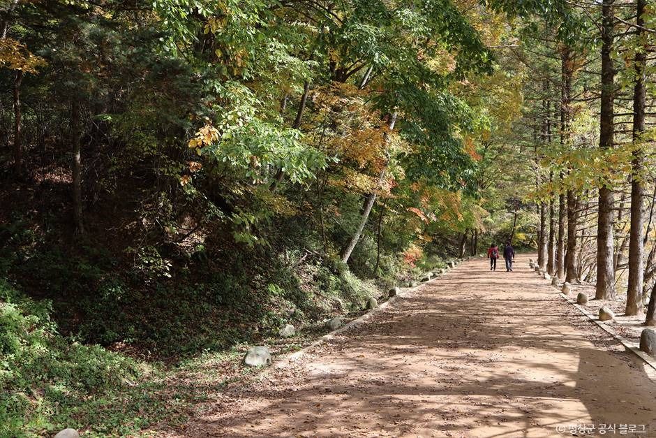 평창_오대산 선재길 (2)